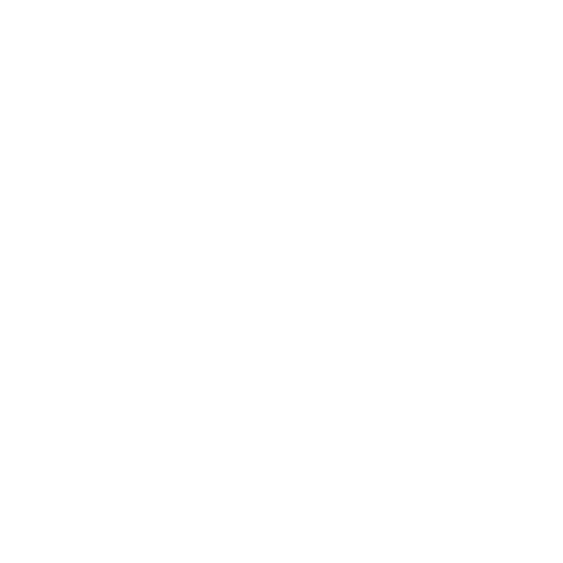 icon  initiation pratique : ossements et pinceau